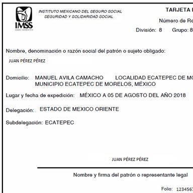 Tarjeta de Identificación Patronal