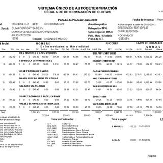 Cédula de determinación de cuotas del IMSS